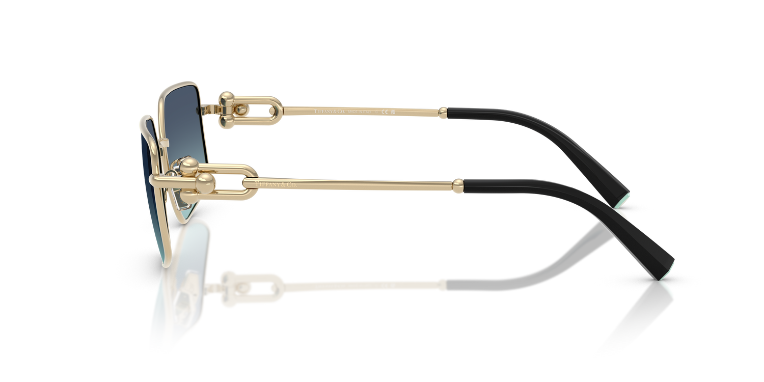 TIFFANY TF3111 62029S 58