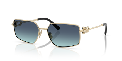 TIFFANY TF3111 62029S 58