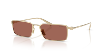 TIFFANY TF3121KB 6244H2 55