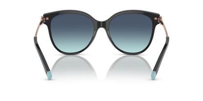 TIFFANY TF4193B 80019S 55