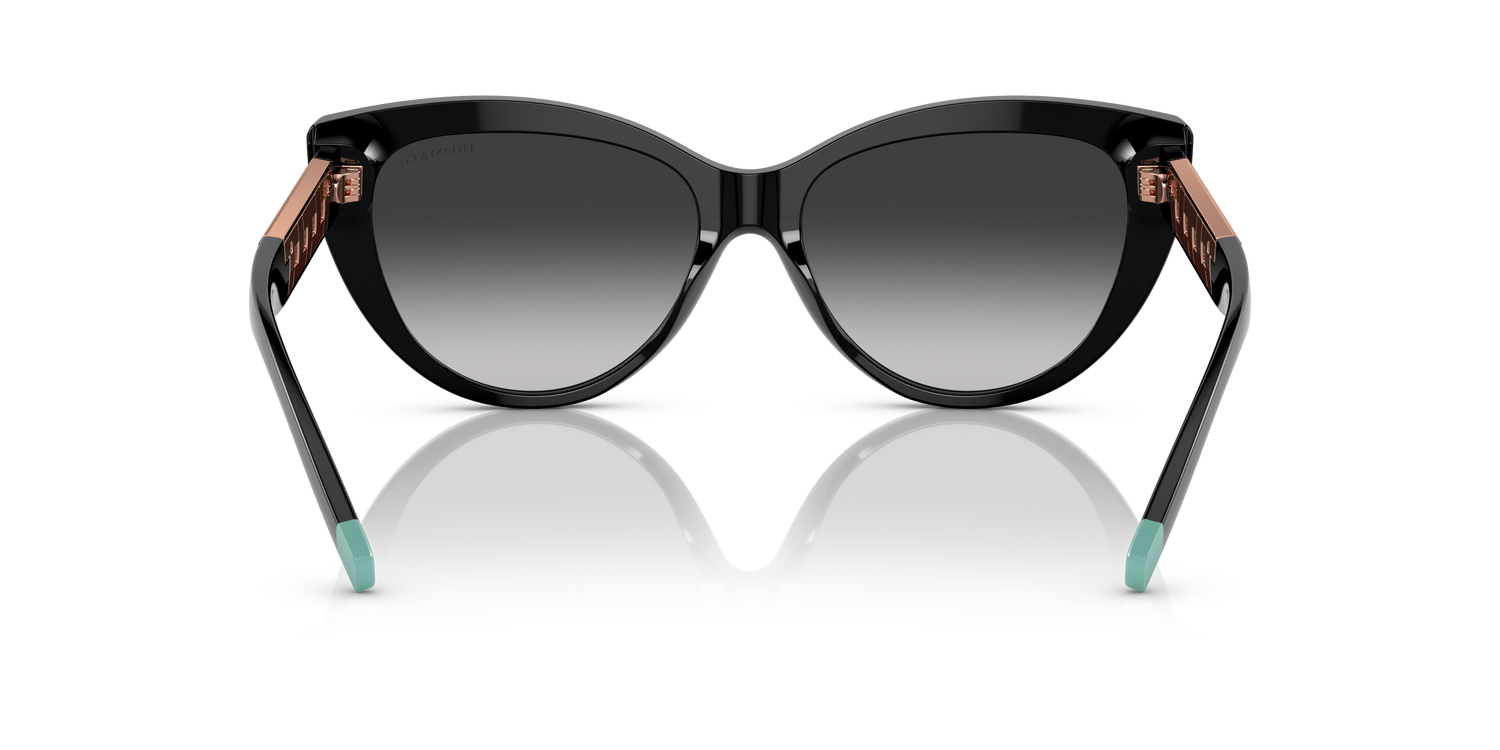 TIFFANY TF4196 80013C 56