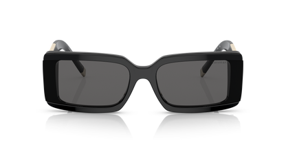 TIFFANY TF4197 8001S4 62