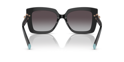 TIFFANY TF4199 80013C 53