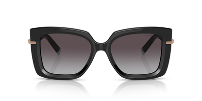 TIFFANY TF4199 80013C 53