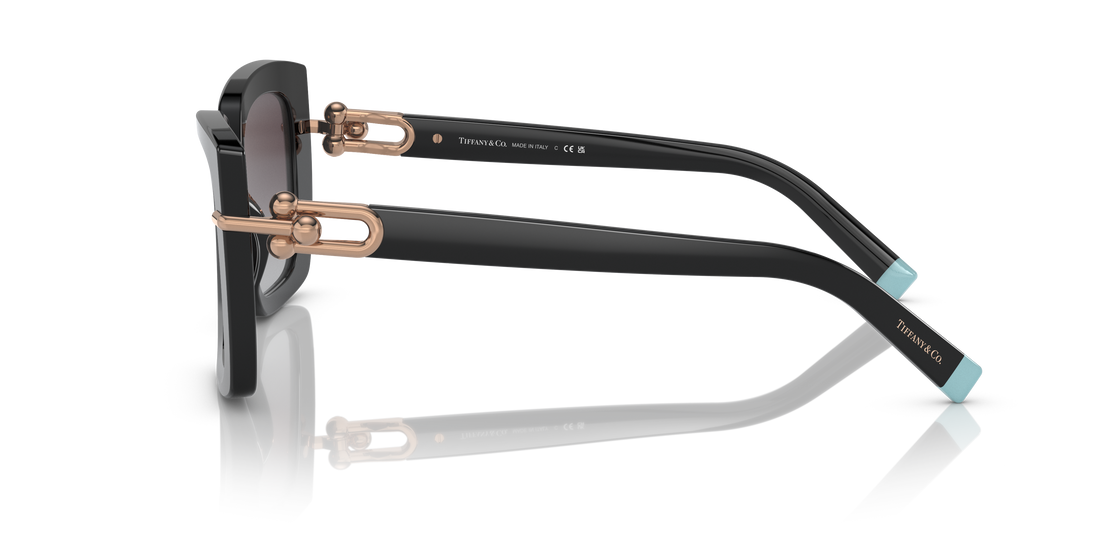 TIFFANY TF4199 80013C 53