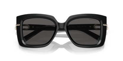 TIFFANY TF4199 8001S4 53