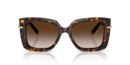 TIFFANY TF4199 80153B 53