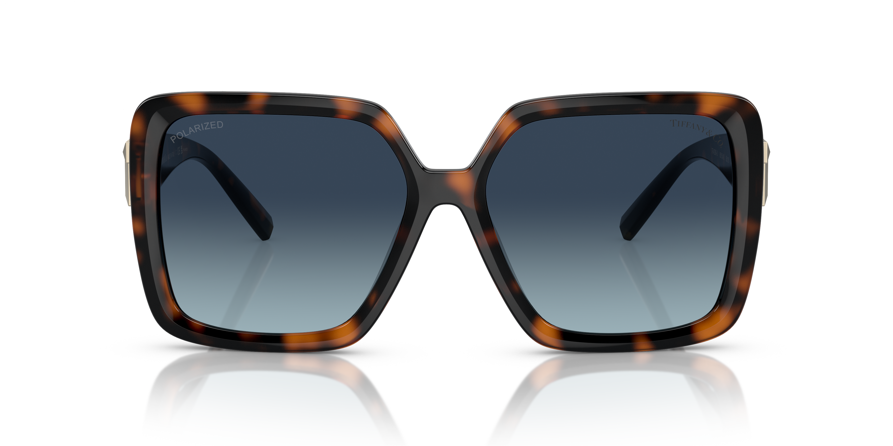 TIFFANY TF4206U 80154U 58