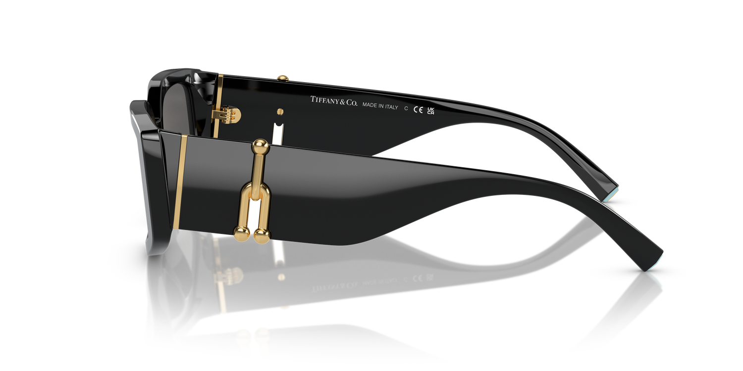 TIFFANY TF4208U 8001S4 54