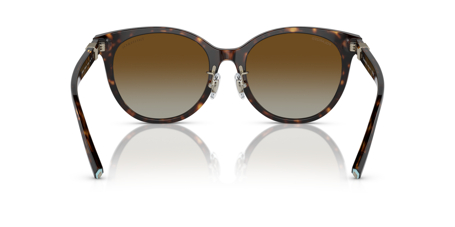 TIFFANY TF4209D 8015T5 54