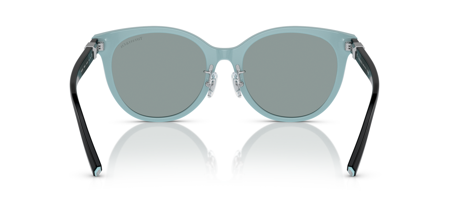 TIFFANY TF4209D 8055/1 54