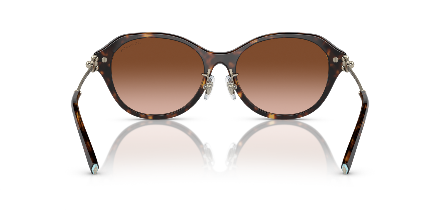 TIFFANY TF4210D 80153B 54