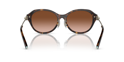 TIFFANY TF4210D 80153B 54