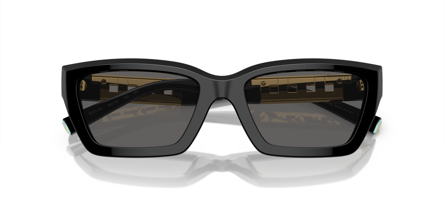 TIFFANY TF4213 8001S4 54