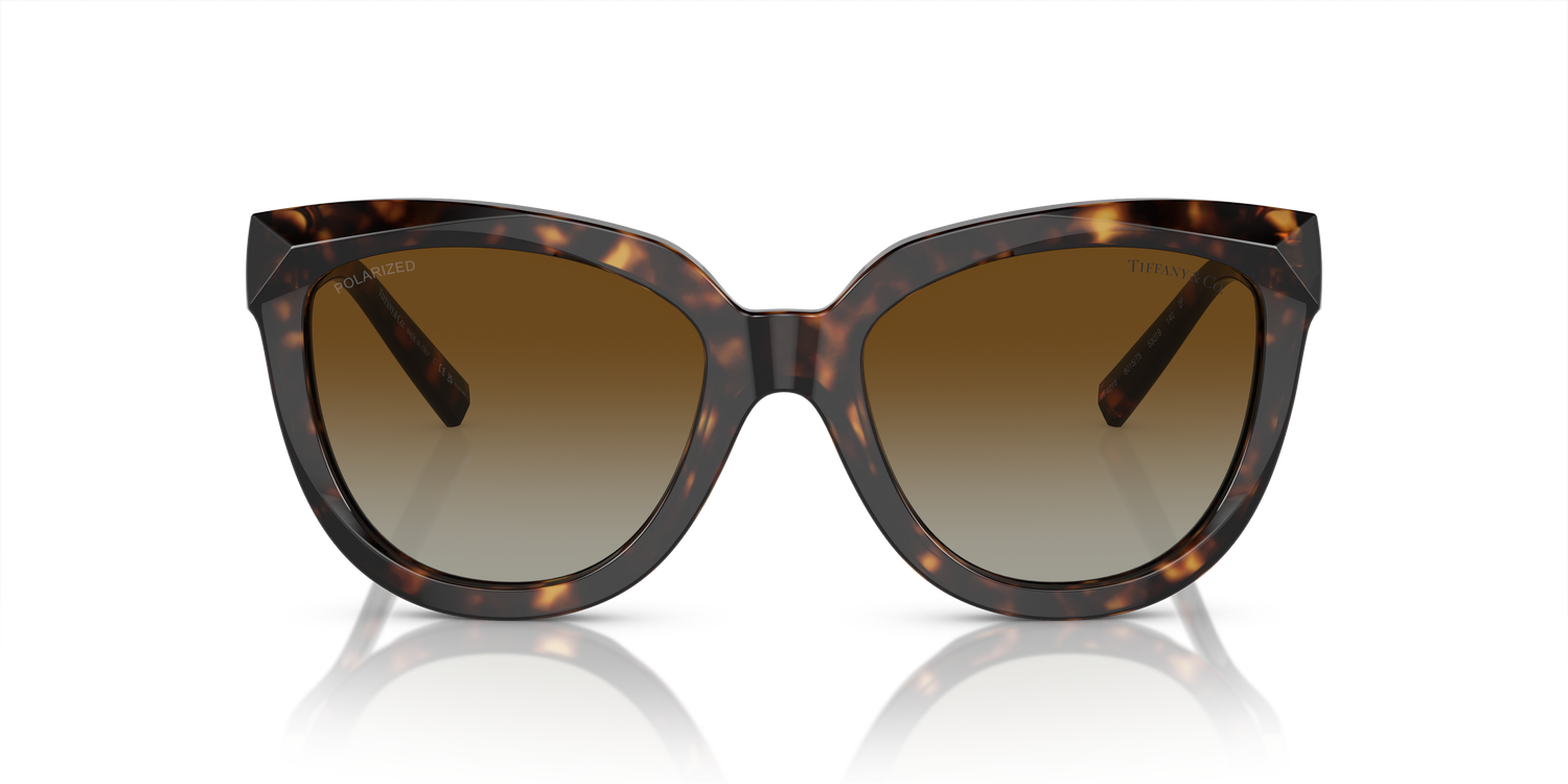 TIFFANY TF4215 8015T5 53