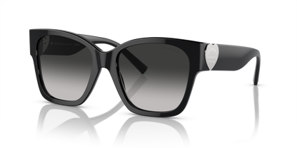 TIFFANY TF4216 80013C 54