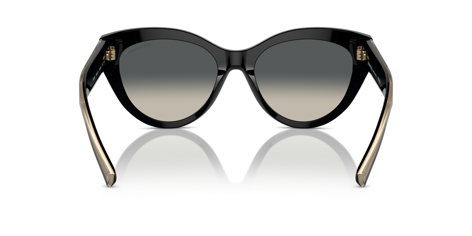 TIFFANY TF4220 800171 54