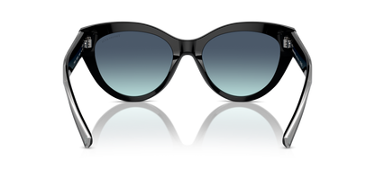 TIFFANY TF4220 80019S 54