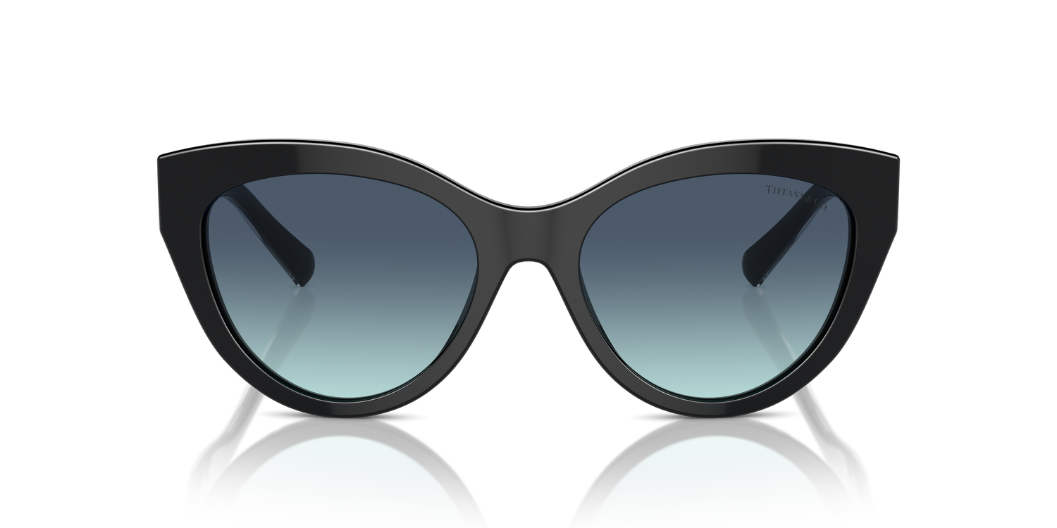 TIFFANY TF4220 80019S 54