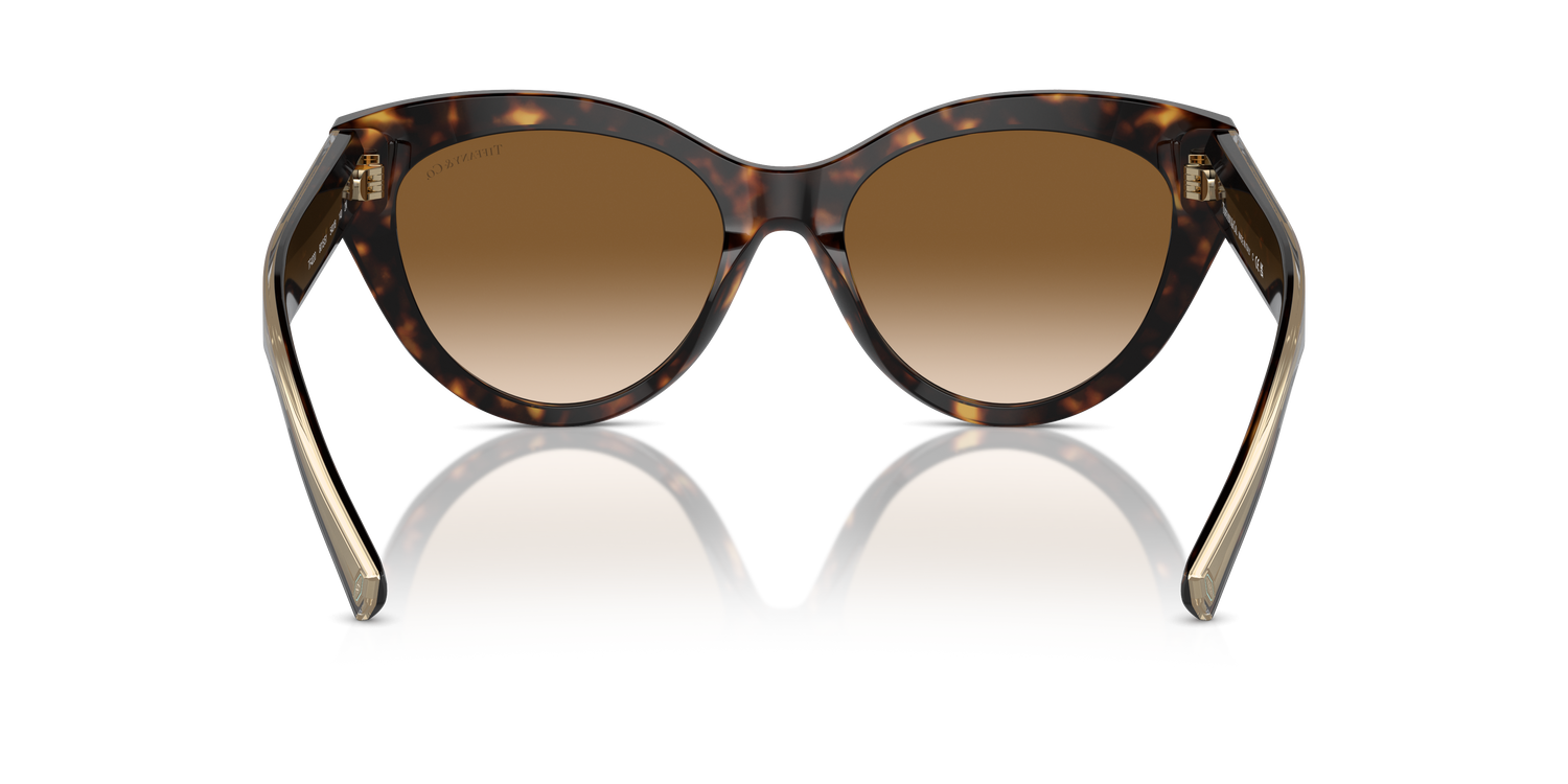 TIFFANY TF4220 801551 54