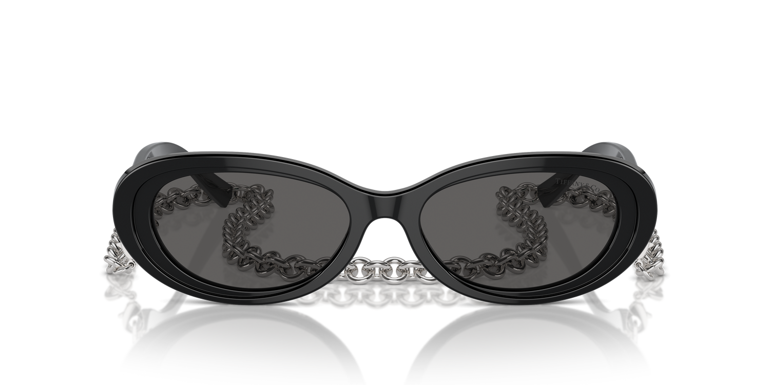 TIFFANY TF4221 8001S4 54