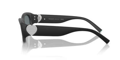 TIFFANY TF4222U 84136G 55