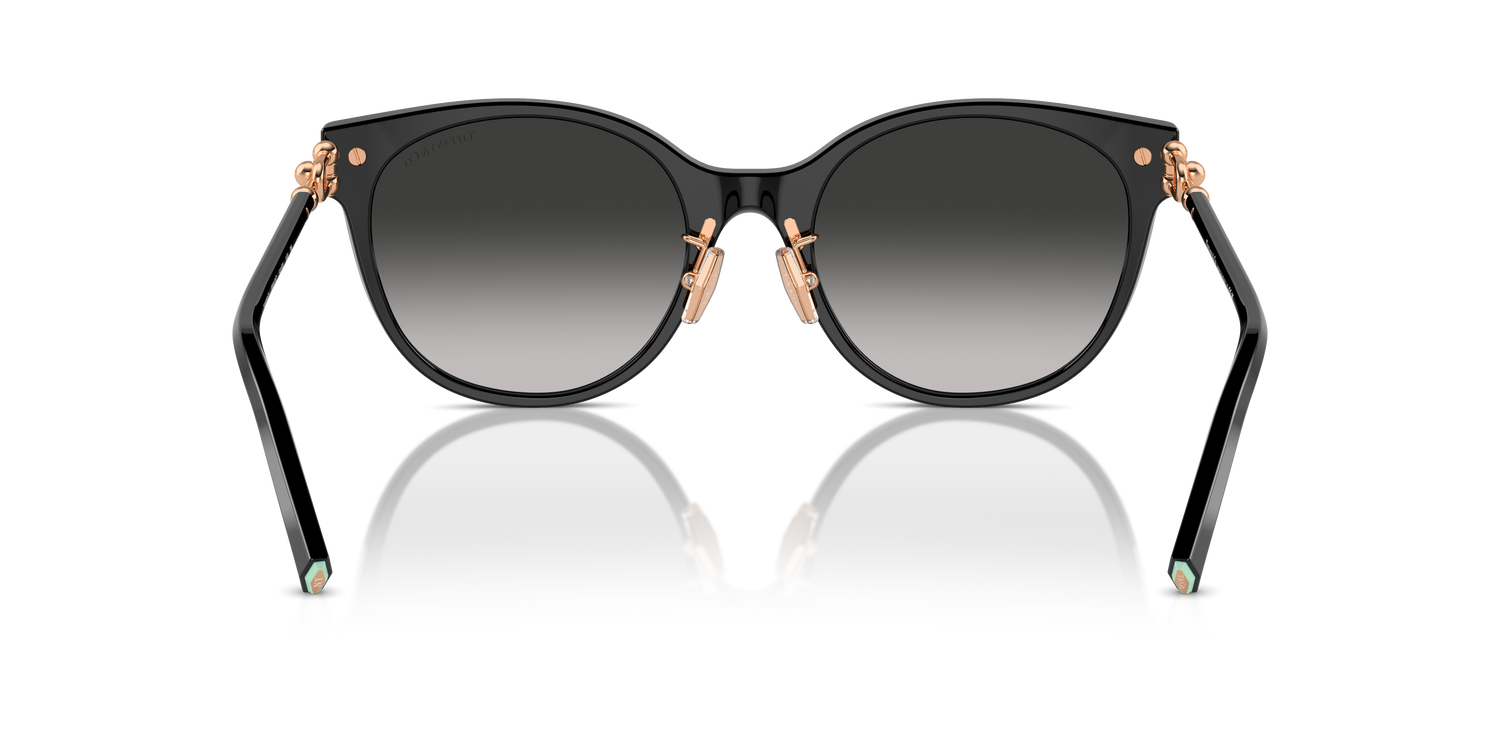 TIFFANY TF4223D 80013C 54