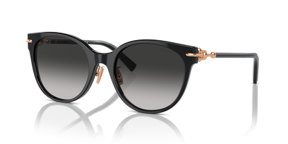 TIFFANY TF4223D 80013C 54