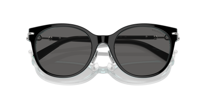 TIFFANY TF4223D 8285S4 54