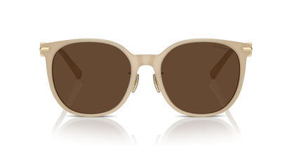 TIFFANY TF4224D 84183G 56