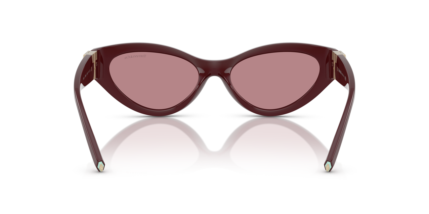 TIFFANY TF4225U 838930 54