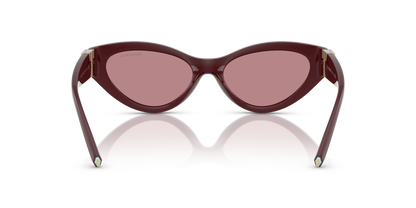 TIFFANY TF4225U 838930 54