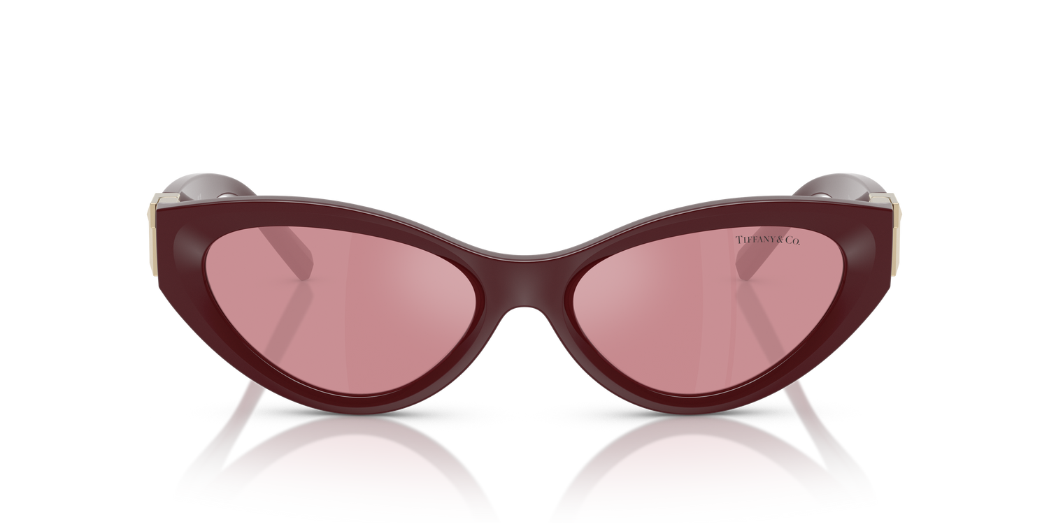 TIFFANY TF4225U 838930 54