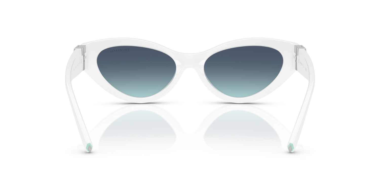 TIFFANY TF4225U 83929S 54