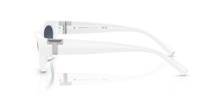 TIFFANY TF4225U 83929S 54