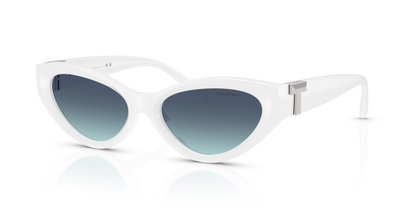 TIFFANY TF4225U 83929S 54