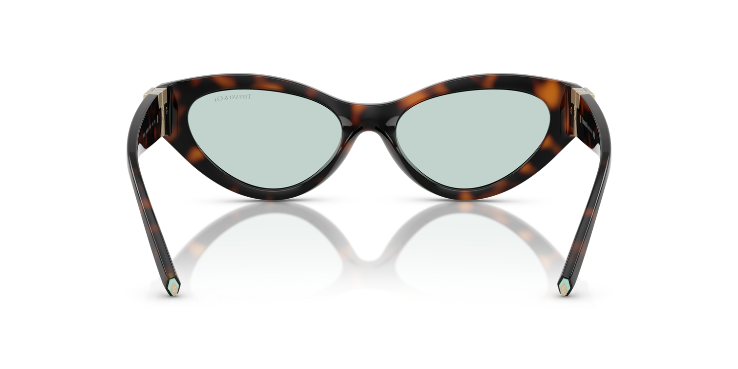 TIFFANY TF4225U 8429D9 54