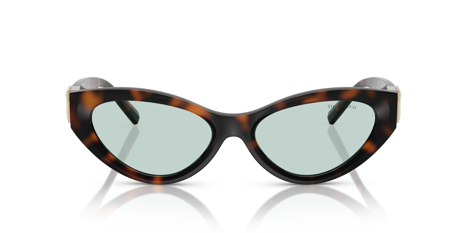 TIFFANY TF4225U 8429D9 54