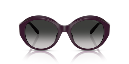 TIFFANY TF4227BU 84273C 53