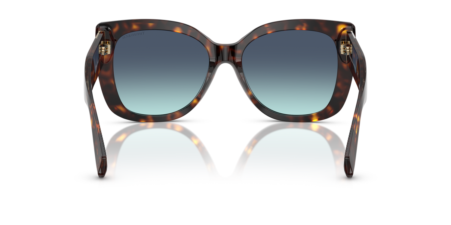 TIFFANY TF4229 80159S 55