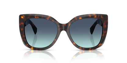 TIFFANY TF4229 80159S 55