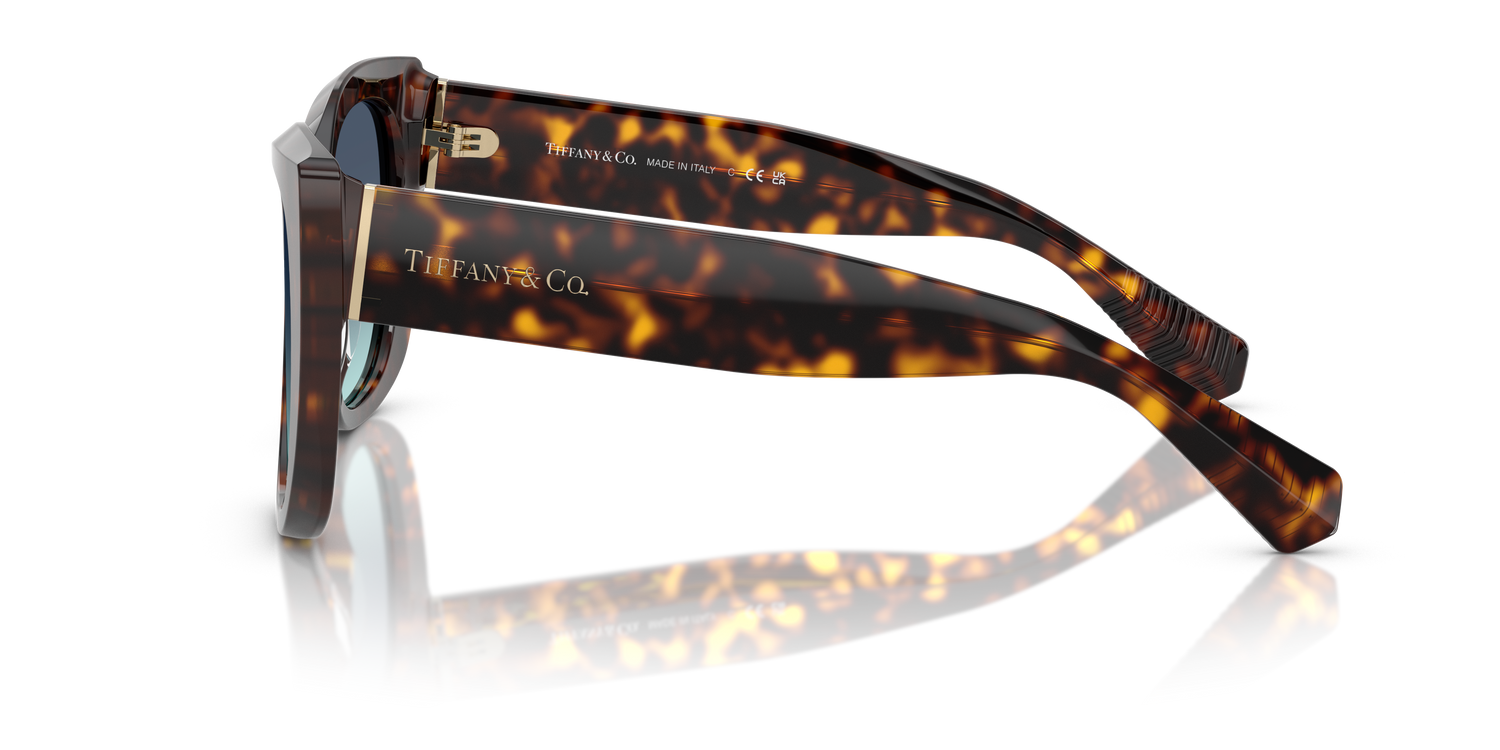 TIFFANY TF4229 80159S 55