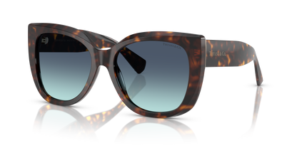 TIFFANY TF4229 80159S 55