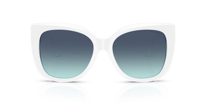 TIFFANY TF4229 83929S 55