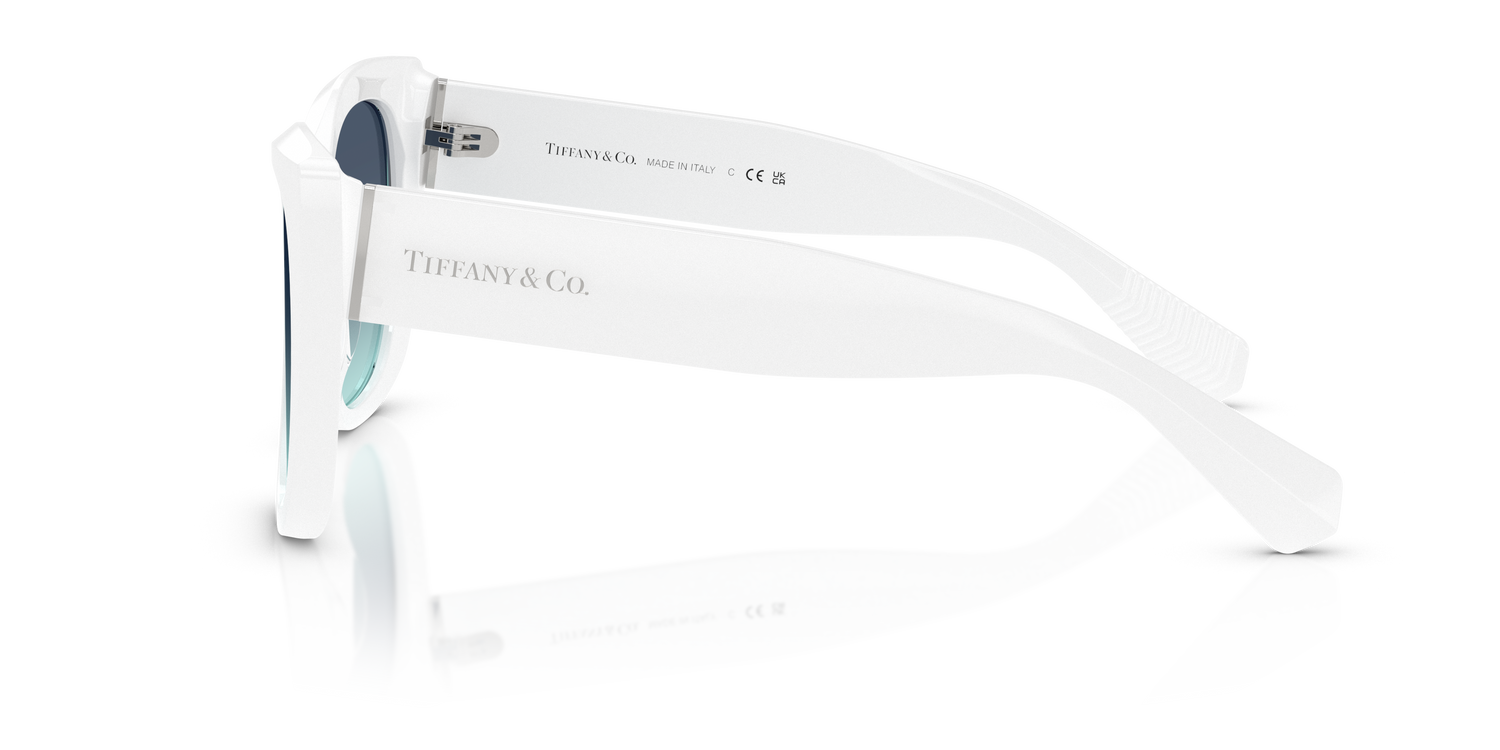TIFFANY TF4229 83929S 55