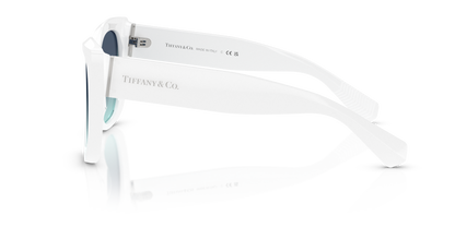 TIFFANY TF4229 83929S 55