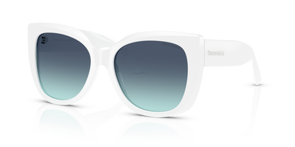 TIFFANY TF4229 83929S 55