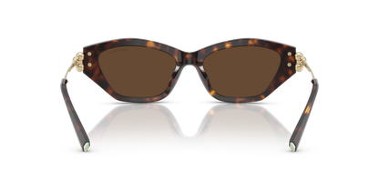 TIFFANY TF4231U 80153G 53