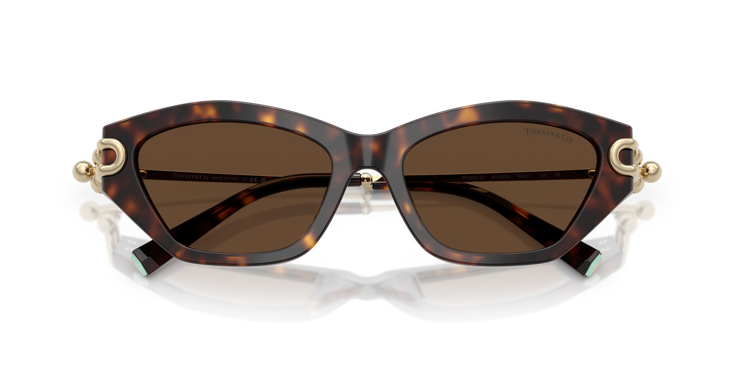 TIFFANY TF4231U 80153G 53