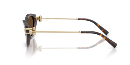 TIFFANY TF4231U 80153G 53